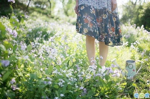 那些旋律和歌詞都能擊中你內(nèi)心柔軟之處的唯美歌謠4