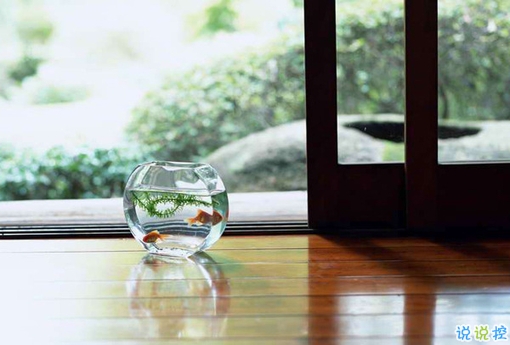 很真實(shí)的愛(ài)情感悟帶圖片 深有感觸的經(jīng)典愛(ài)情說(shuō)說(shuō)配圖12