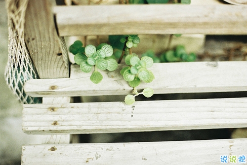 讓人溫暖的說說大全很有安全感 適合向女生表白的暖心說話1