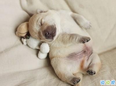 學(xué)生黨有趣圖片帶搞笑個性說說 你體驗過暴瘦的滋味嗎9