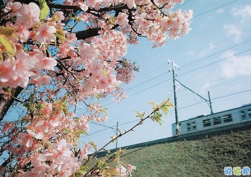 很特別的早安說說大全帶圖片 朋友圈早安心語獨一無二吸引人3