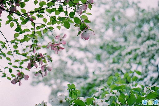 異地戀的心酸傷感說(shuō)說(shuō)大全 一天想你八百次的異地戀委屈句子1