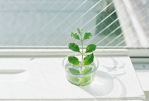 甜蜜浪漫情話(huà)只想說(shuō)給你聽(tīng)的說(shuō)說(shuō)帶圖片 想化作一陣風(fēng)輕柔的撫過(guò)你13