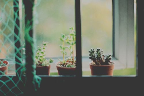 超勵志的正能量心靈雞湯說說帶圖片 與其擔心未來不如現(xiàn)在好好努力6