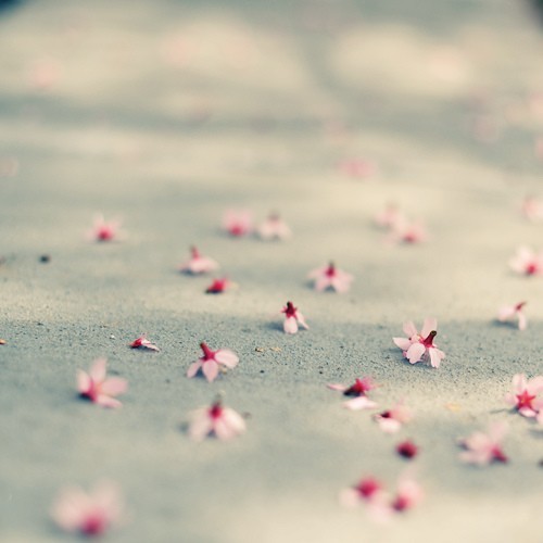 告白時的文藝浪漫情話句子 超浪漫的文藝愛情句子2