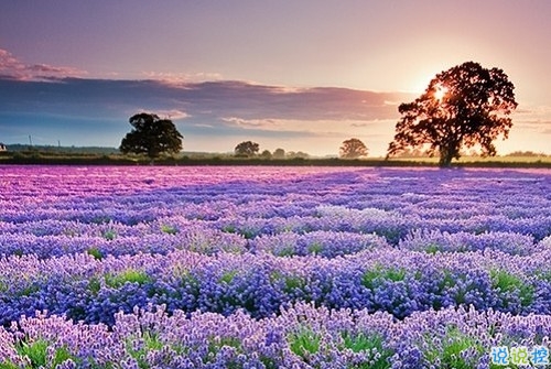 2019女生節(jié)微信說(shuō)說(shuō)大全帶圖片 三七女生節(jié)朋友圈祝福語(yǔ)說(shuō)說(shuō)12