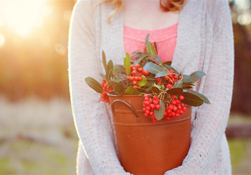 關(guān)于青春成長(zhǎng)的美到極致的唯美句子帶圖片7