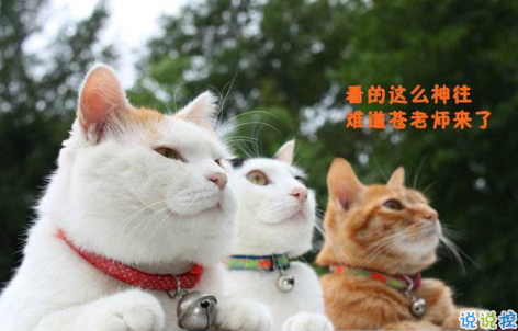 2018清明節(jié)搞笑說說：清明節(jié)應(yīng)該回小學(xué)初中掃掃墓，因?yàn)槟抢锫裨崃四愕那啻骸?