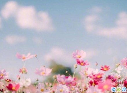 說到心坎的傷感說說帶圖片戳中你的內(nèi)心 失落又心痛發(fā)朋友圈說說精選12