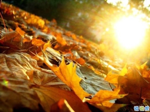 2019干凈唯美的說(shuō)說(shuō)帶圖片 最優(yōu)美好聽(tīng)的朋友圈唯美說(shuō)說(shuō)15