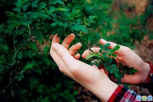 唯美簡單的愛情說說帶圖片 去見你想見的人吧4
