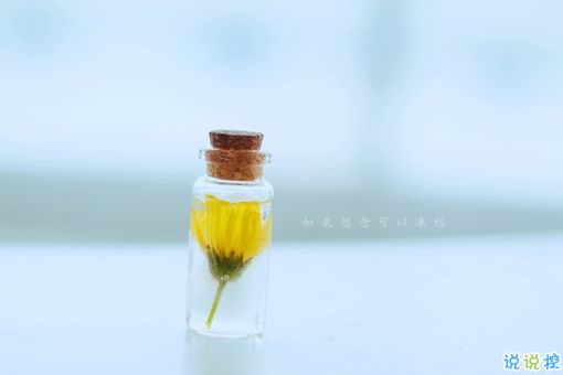 獨(dú)一無(wú)二朋友圈個(gè)性說(shuō)說(shuō)帶圖片 感謝相識(shí)不計(jì)消失回頭是狗1