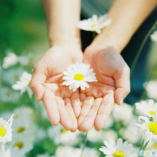 優(yōu)美說說唯美的句子配圖：海底月是天上月，只是鏡花水月5