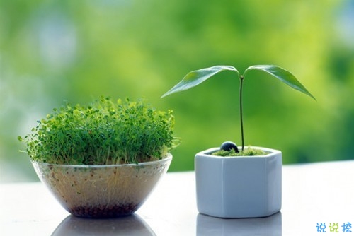 2019小年夜勵(lì)志說(shuō)說(shuō)大全 小年夜發(fā)朋友圈的勵(lì)志說(shuō)說(shuō)最佳1