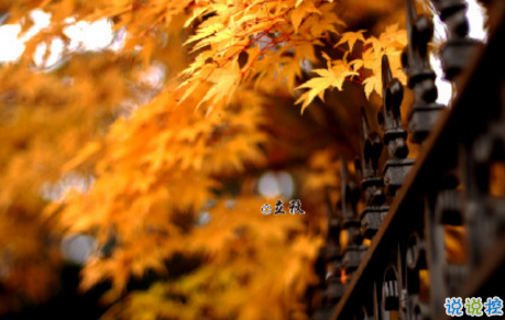 今日立秋圖片說說2018最新版 立秋的經(jīng)典說說帶圖片精選8