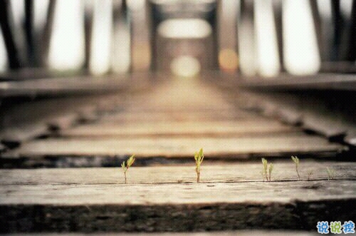 一個(gè)人情緒低落的傷感說說帶圖片 受過傷流過淚的難過說說15