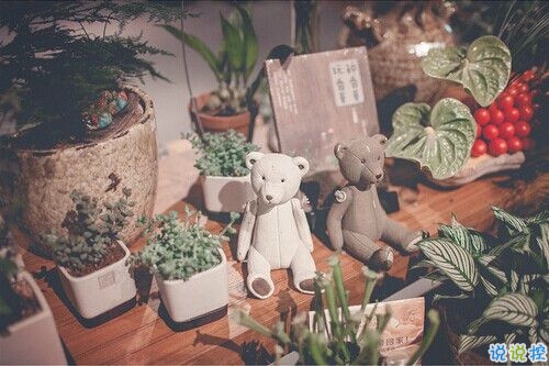 成長之路上遇到的一些經(jīng)典哲理說說配圖 很有道理的精辟說說發(fā)朋友圈8