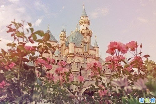 2019春分適合發(fā)朋友圈的說說句子帶圖片 今日春分早安經(jīng)典說說5