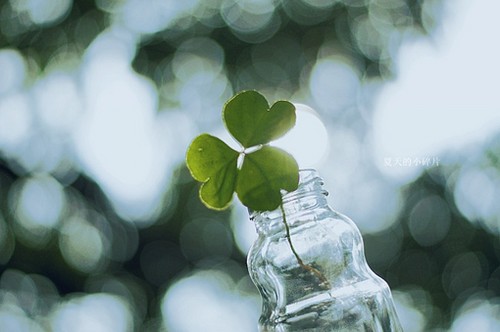 唯美又簡單的一句話說說帶圖片 你本是這世間獨(dú)一無二千般好6