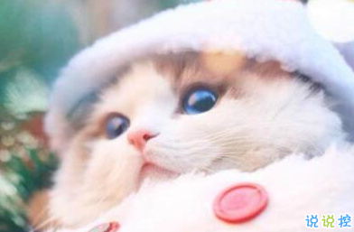 適合社會(huì)人的個(gè)性說(shuō)說(shuō)帶圖片：一巴掌拍醒所有癡心和妄想3