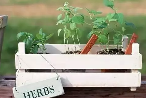 村上春樹經(jīng)典語錄大全，句句戳中你的內(nèi)心2