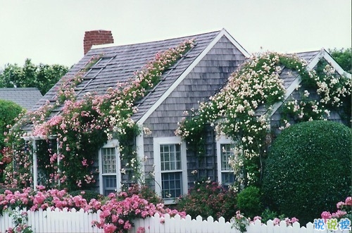 適合早晨發(fā)的朋友圈說(shuō)說(shuō)帶圖片 早上打了雞血的正能量句子13