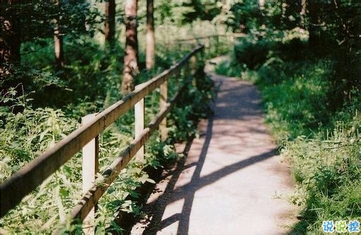 偶然看見的一句話可以打動(dòng)你心 很經(jīng)典的愛(ài)情說(shuō)說(shuō)大全20181