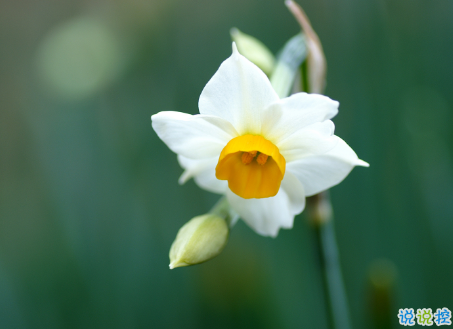微信朋友圈治愈系早安心語說說 溫暖小清新早安說說大全15