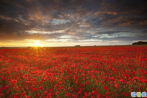 2019女生節(jié)微信說(shuō)說(shuō)大全帶圖片 三七女生節(jié)朋友圈祝福語(yǔ)說(shuō)說(shuō)8