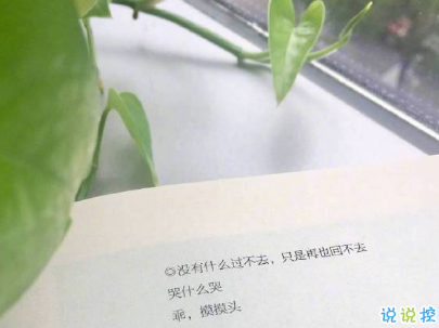 微信個性說說簡短帶圖片 很不一樣的微信說說精選14