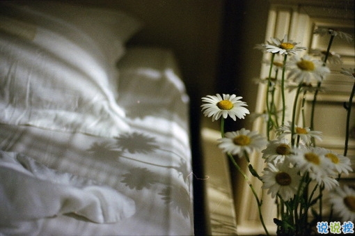 最新適合畢業(yè)季發(fā)的說(shuō)說(shuō)帶圖片 時(shí)光不老我們不散5