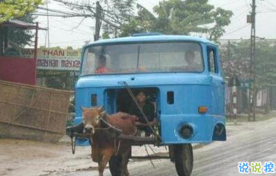 有意思的圖片加說(shuō)說(shuō) 適合發(fā)朋友圈的搞笑段子圖片2