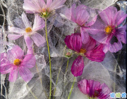 睡覺前的朋友圈晚安說說帶圖片 晚安心語說說心靈雞湯配圖3