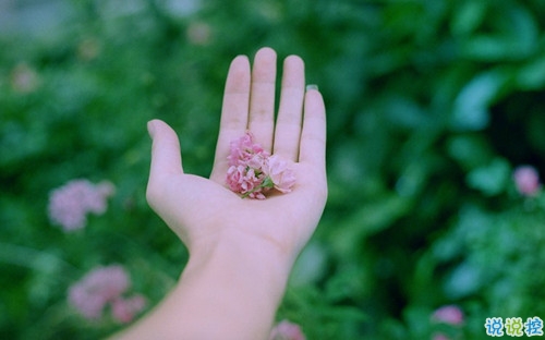 有種淡淡心酸的個(gè)性說說帶圖片 文字控喜歡的文藝個(gè)性說說配圖4