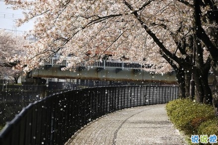 感悟生活的早安心情說說 陽光這么好別辜負了今天8