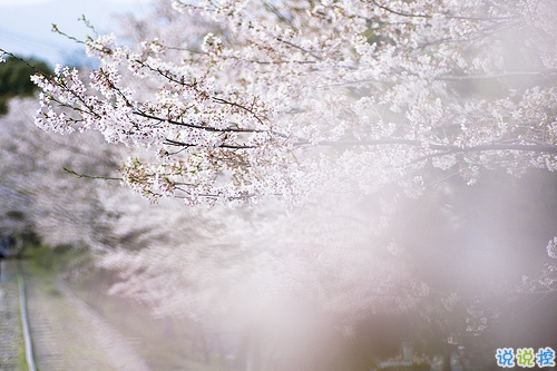 最新女生唯美說說帶圖片大全 有詩意很文藝的一些唯美句子1