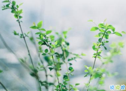 致自己的一句話個性說說帶圖片 想要訴說自己心情的說說13