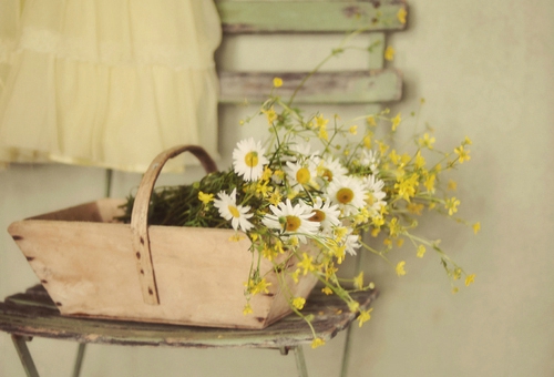 關(guān)于青春和成長(zhǎng)的適合文藝女生發(fā)說(shuō)說(shuō)的句子帶圖片11