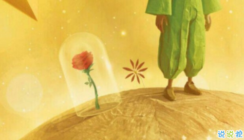 經(jīng)典小王子中的有哲理而又簡(jiǎn)單的句子 如果你被一朵花馴養(yǎng)8