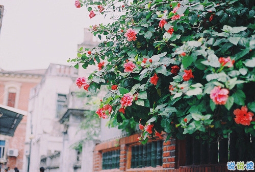 2019最新經典說說給人希望 激勵人心的經典說說帶圖片4