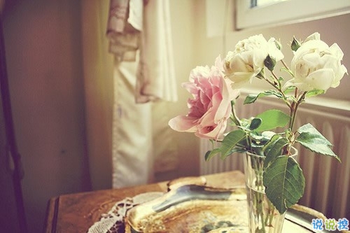 一切都結(jié)束了的傷感說說 為愛癡狂為愛受傷的句子精辟1