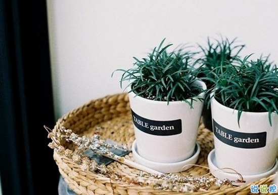 2019最新經(jīng)典愛(ài)情說(shuō)說(shuō)大全 愛(ài)情勵(lì)志的話簡(jiǎn)短精辟1