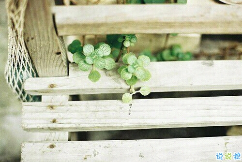 一個(gè)人情緒低落的傷感說說帶圖片 受過傷流過淚的難過說說11