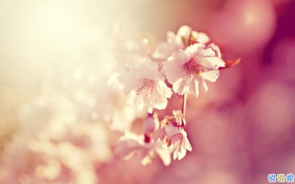 2019最佳表白情話大全簡短撩人 表白情話真實點感動人的1