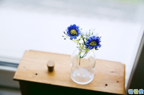 關(guān)于現(xiàn)實的人生感悟帶圖片 27條值得收藏和學(xué)習(xí)的經(jīng)典說說大全6