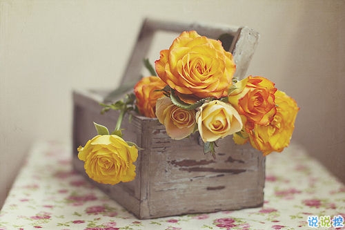 經(jīng)典唯美的浪漫句子致愛(ài)情 很暖心很有愛(ài)的唯美句子大全2