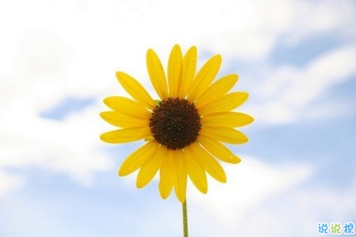 男生霸氣勵(lì)志說說2019精選 有深度有內(nèi)涵的男生說說13