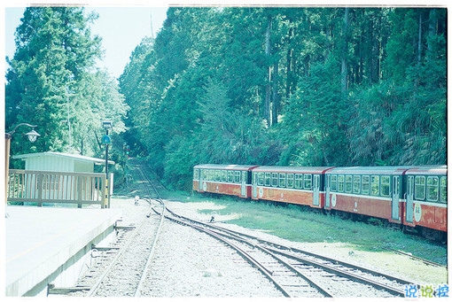 很特別的早安說說大全帶圖片 朋友圈早安心語獨一無二吸引人12