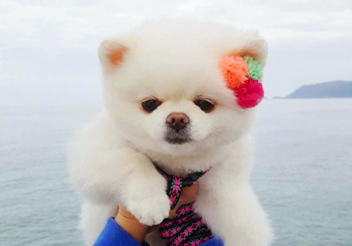 可以戳中中你笑點(diǎn)的搞笑說說帶圖片11