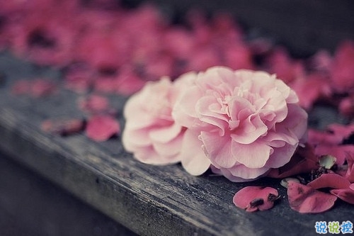 女生傷感說說帶圖片心情低落 越想越心痛的難過說說大全14